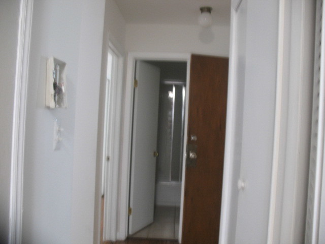6046 West Irving Park Road, Unit 2F Chicago, IL 60634 - Photo 8 of 21