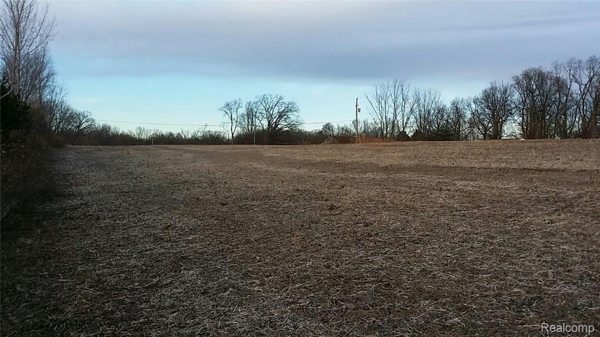 carney land.jpg