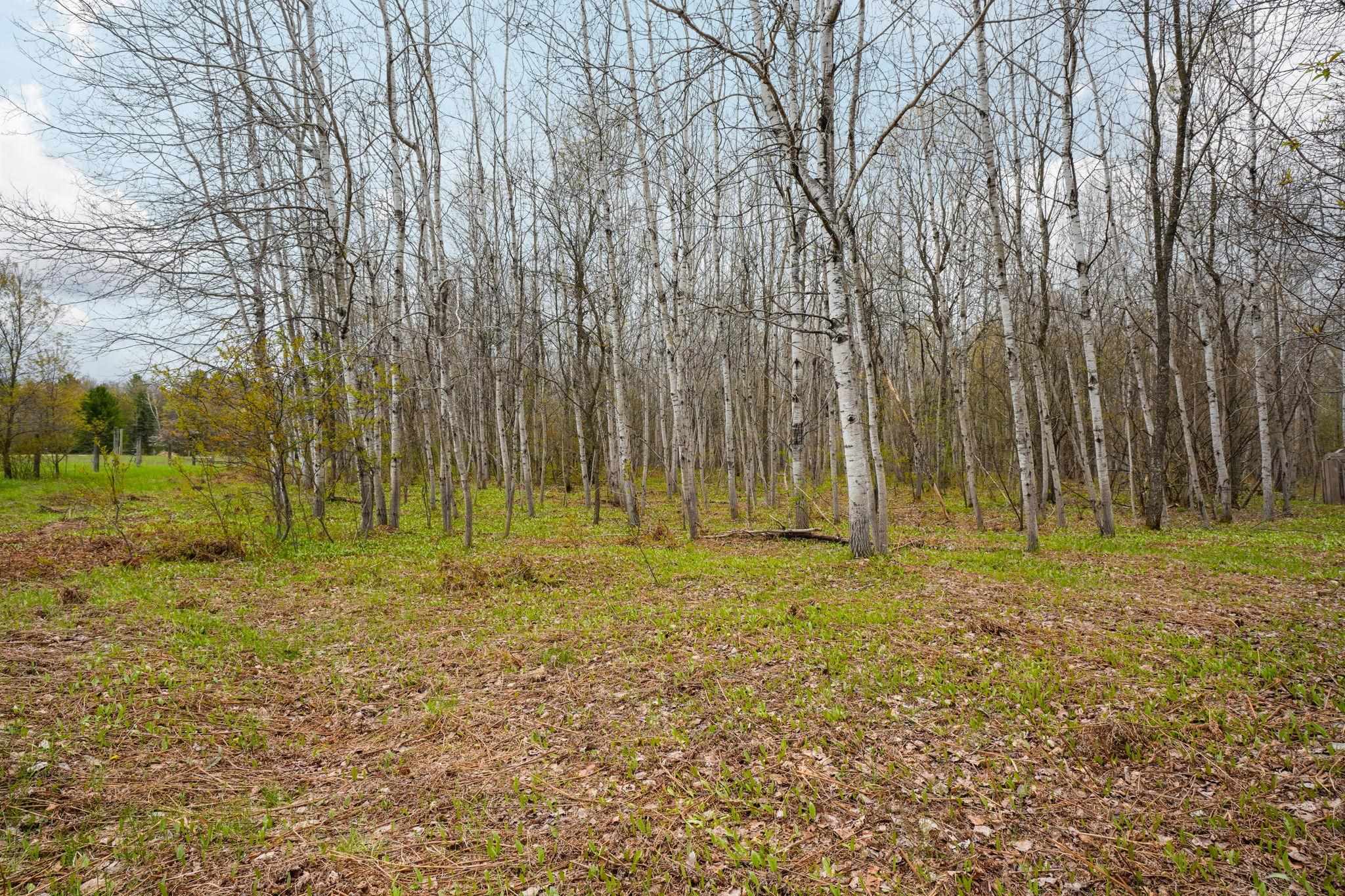 3976 Irvin Road Kingsley, MI 49649 - Photo 7 of 68