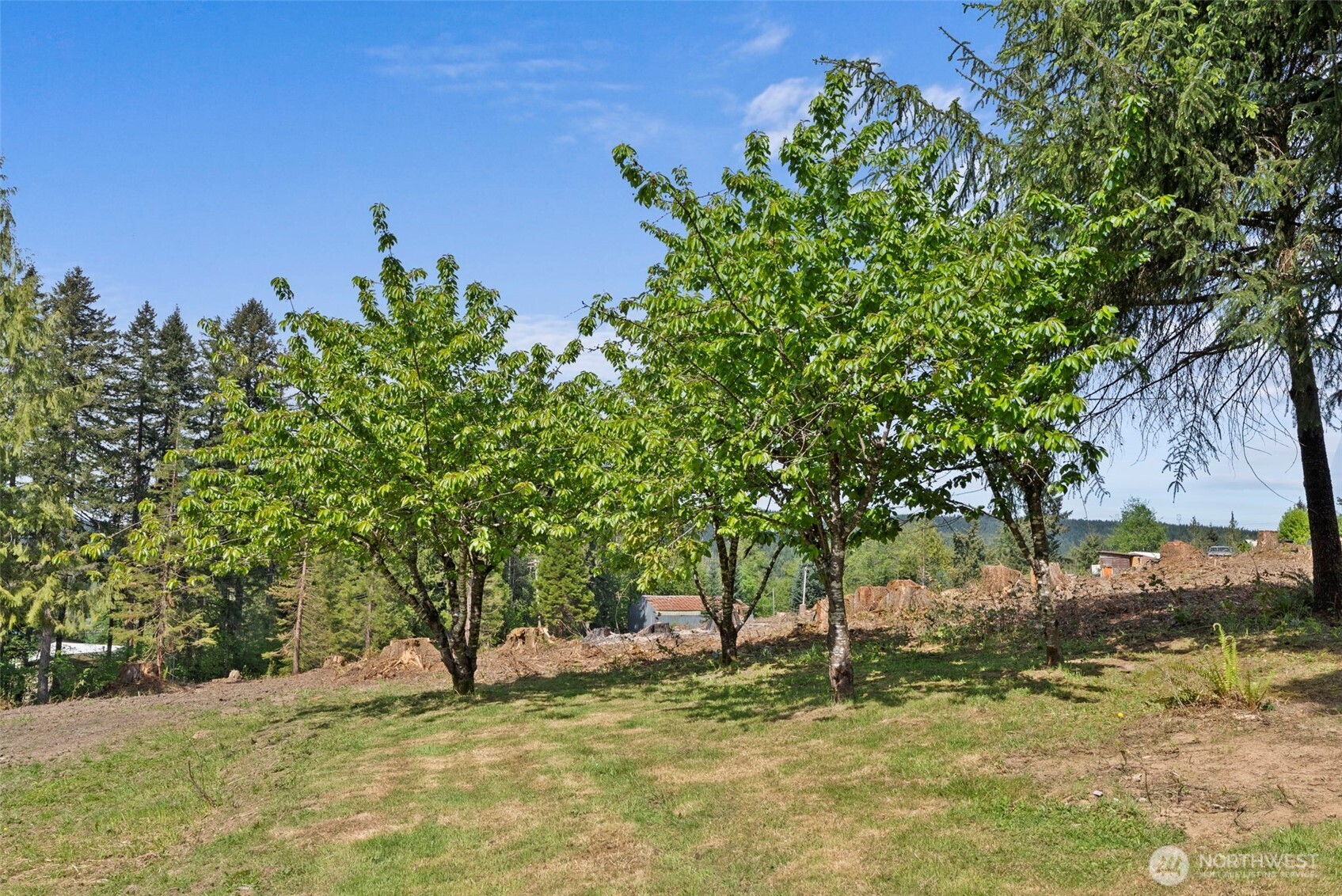2054 Little Hanaford Road Centralia, WA 98531 - Photo 38 of 40