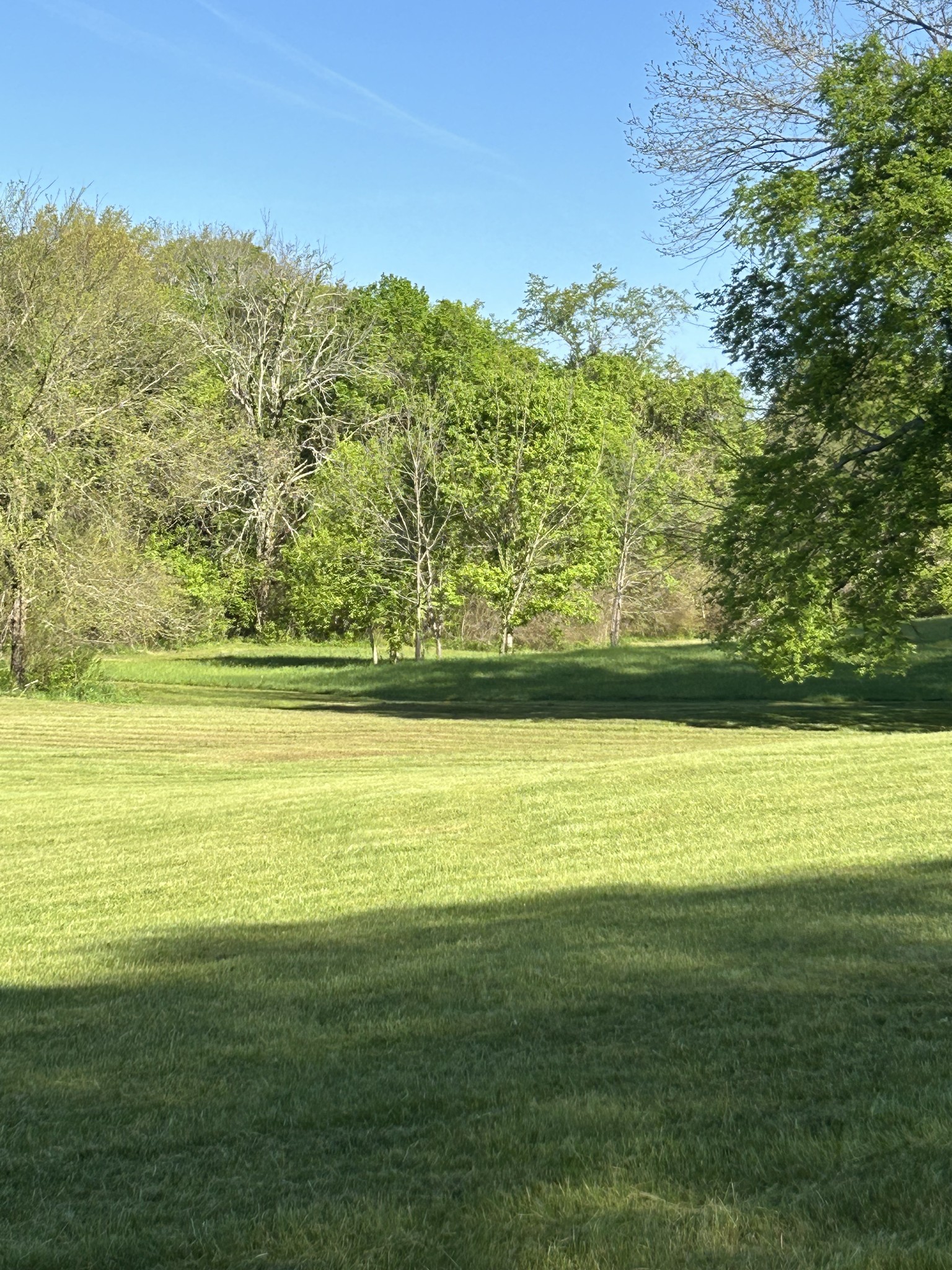 0 Hughey Road Fayetteville, TN 37334 - Photo 4 of 9 Gallery Image 4