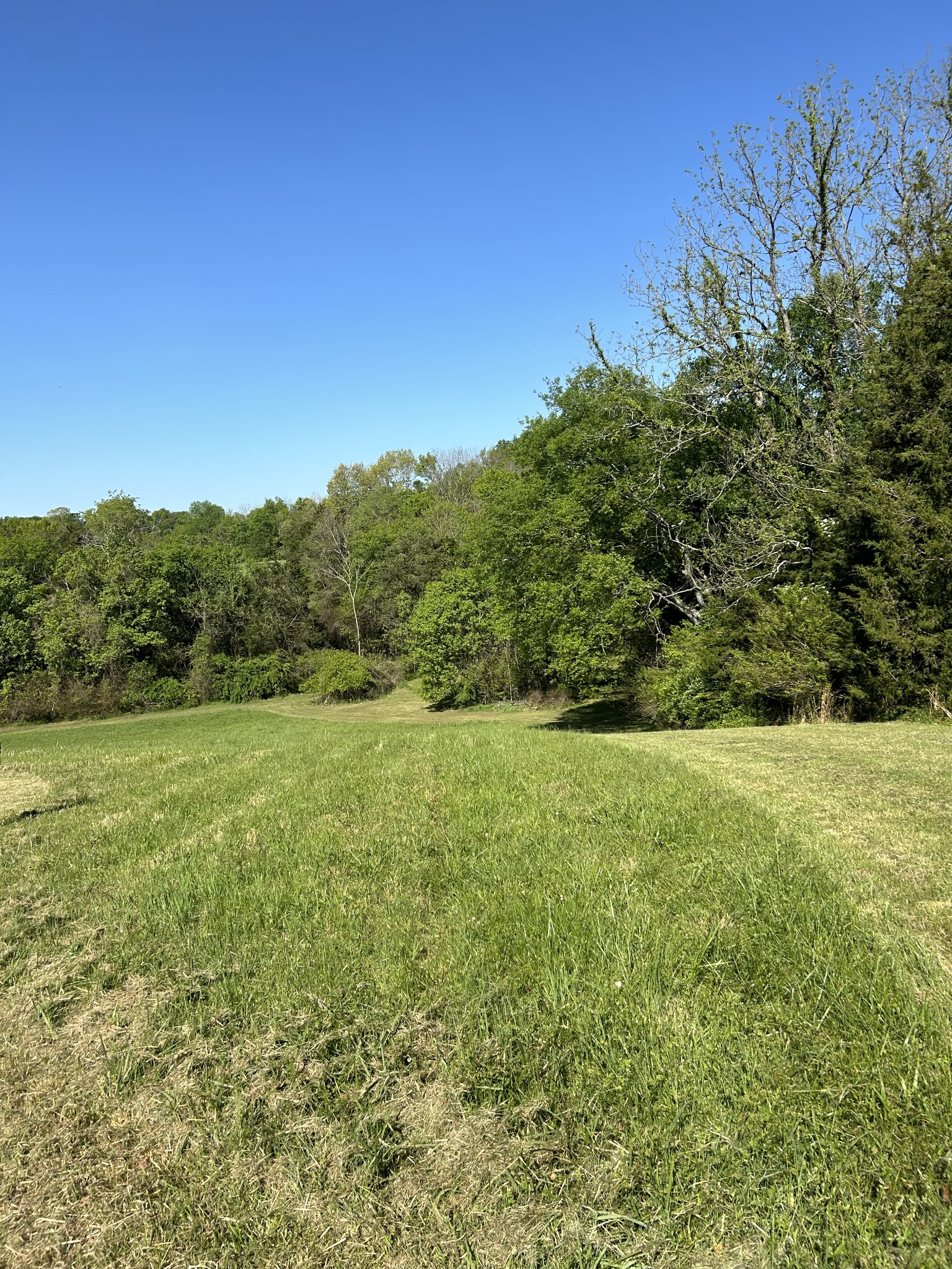 0 Hughey Road Fayetteville, TN 37334 - Photo 6 of 9 Gallery Image 6