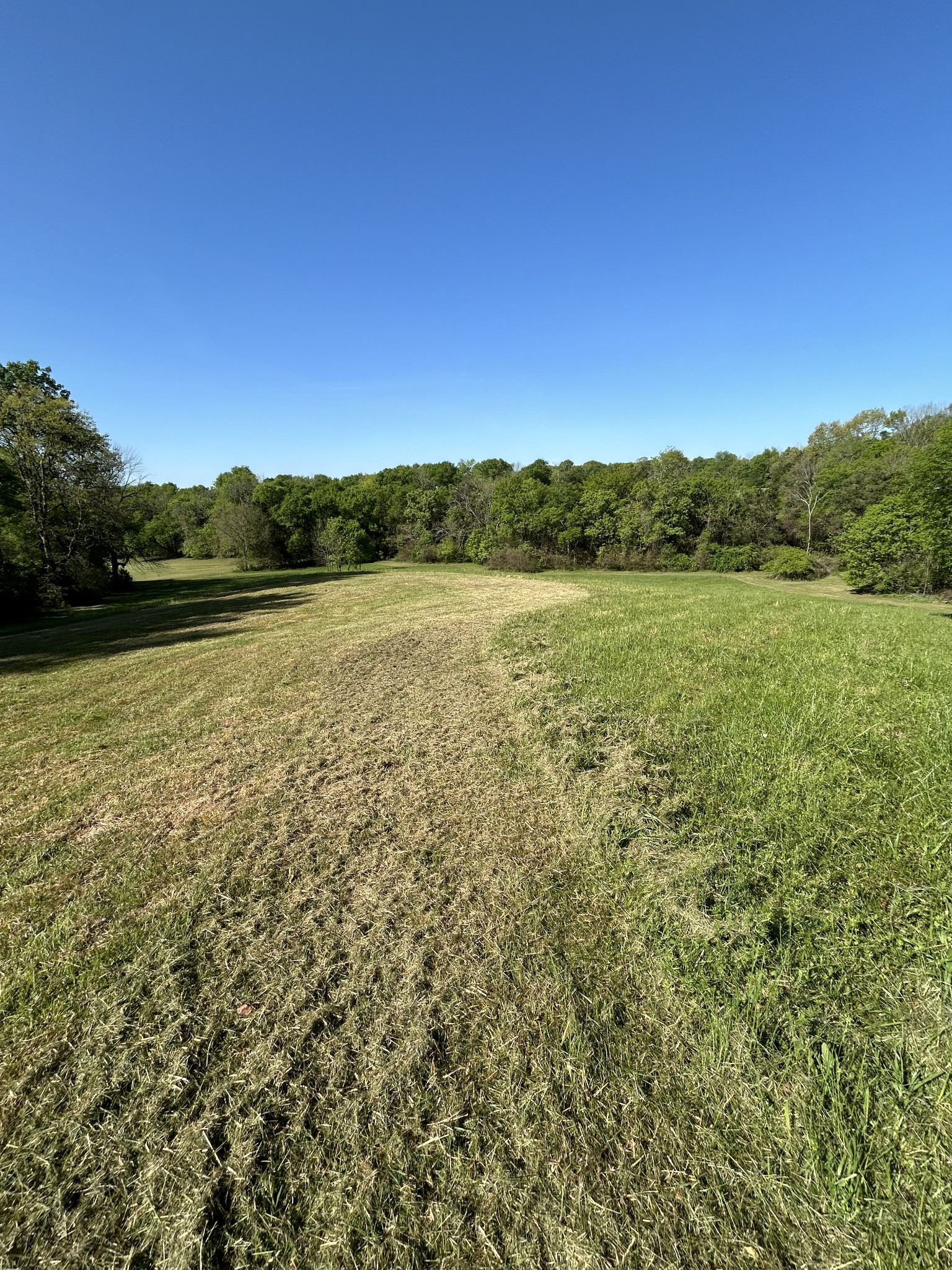 0 Hughey Road Fayetteville, TN 37334 - Photo 7 of 9 Gallery Image 7