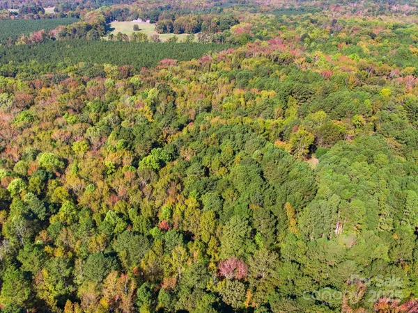 a view of outdoor space with trees