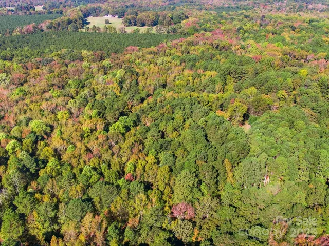 a view of outdoor space with trees