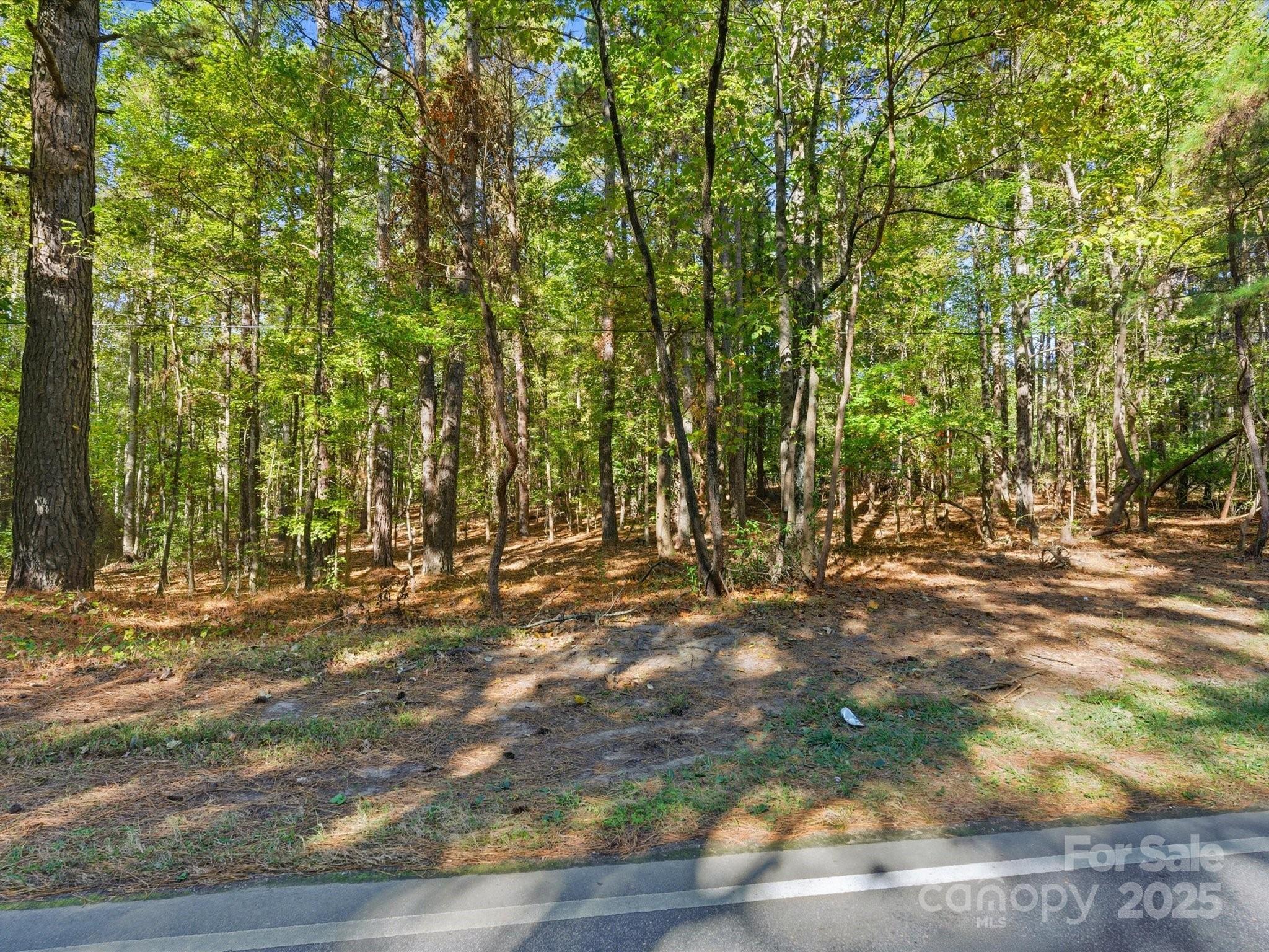 0 Rehobeth Road Waxhaw, NC 28173 - Photo 24 of 24 a view of backyard with green space