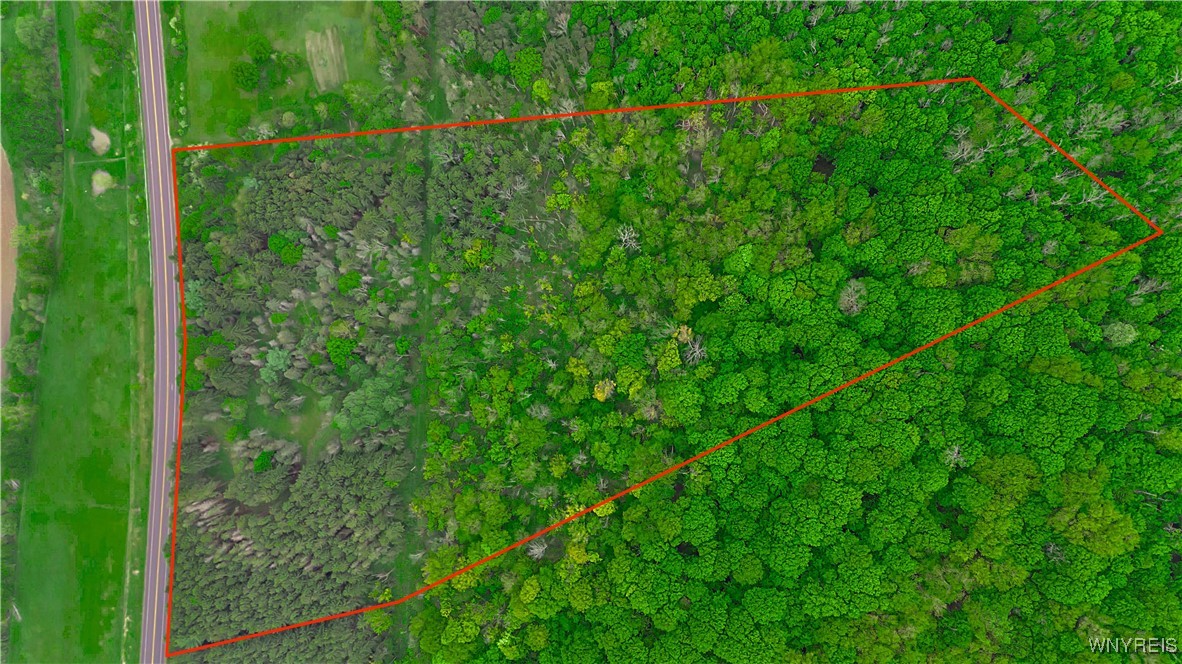 Vl Maples Road Little Valley, NY 14755 - Photo 1 of 12