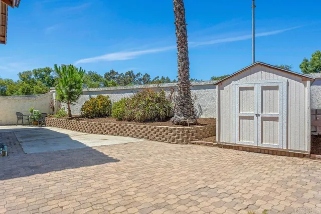a view of a yard with plants and trees