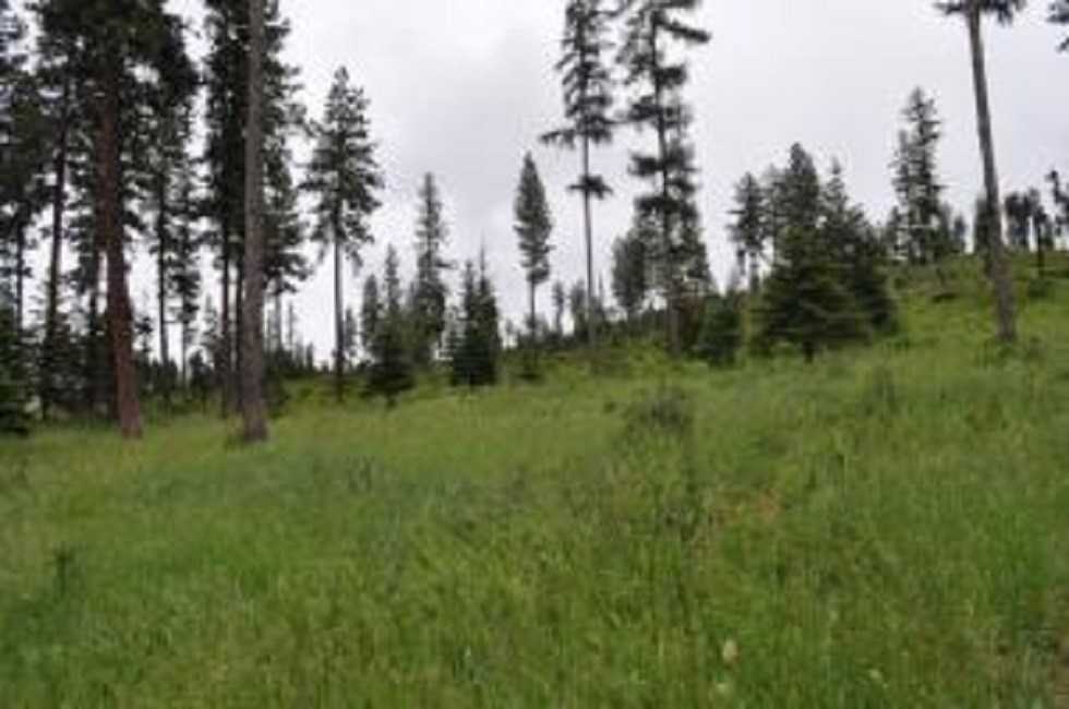 2501 Gilson Road Addy, WA 99101 - Photo 9 of 20