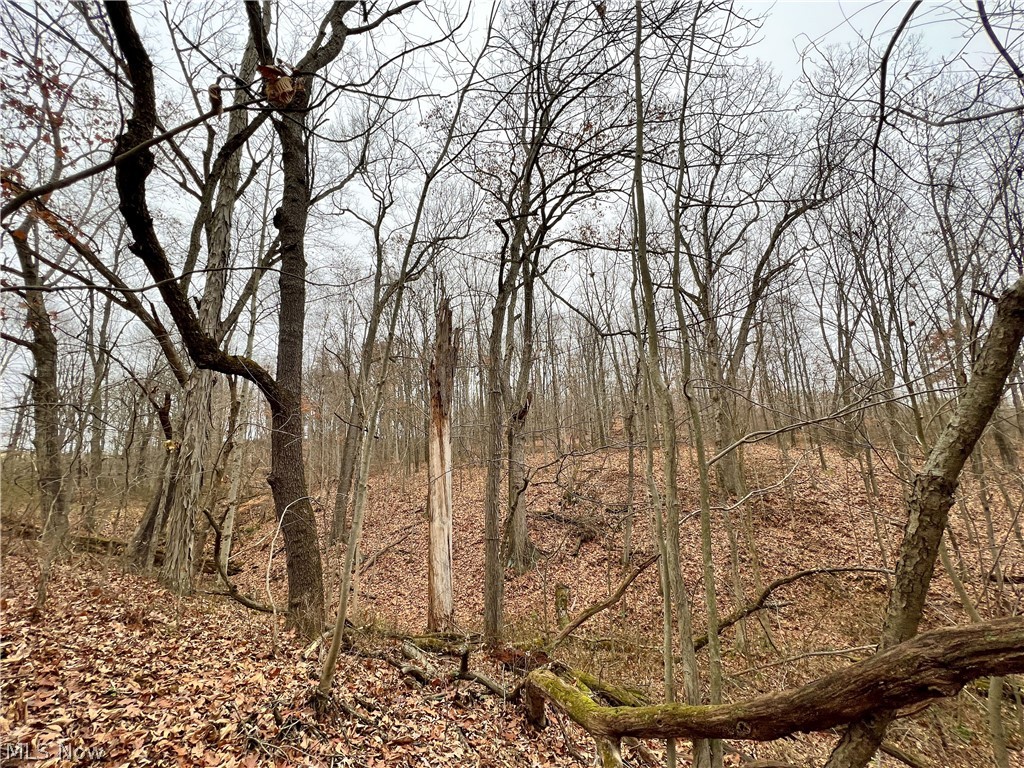 Briar Road Magnolia, OH 44643 - Photo 14 of 22