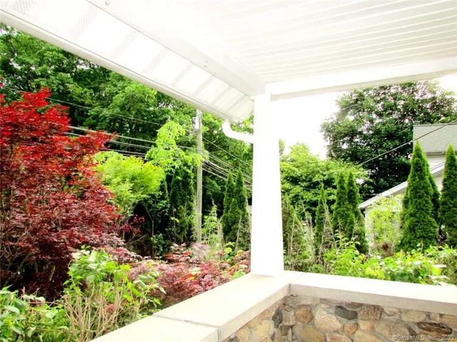 a view of a garden with plants