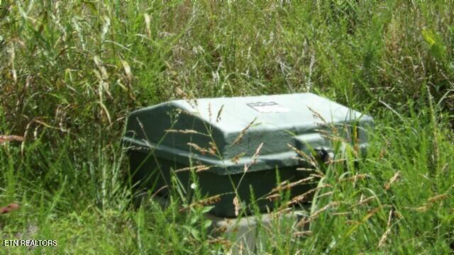 Lot 4 Trout Lane Hilham, TN 38568 - Photo 12 of 37 100_0038