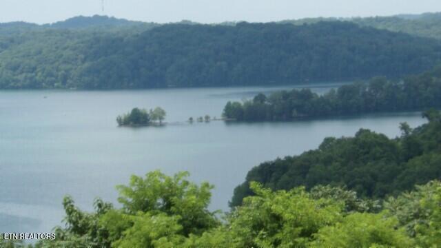 Lot 4 Trout Lane Hilham, TN 38568 - Photo 13 of 37 100_0020