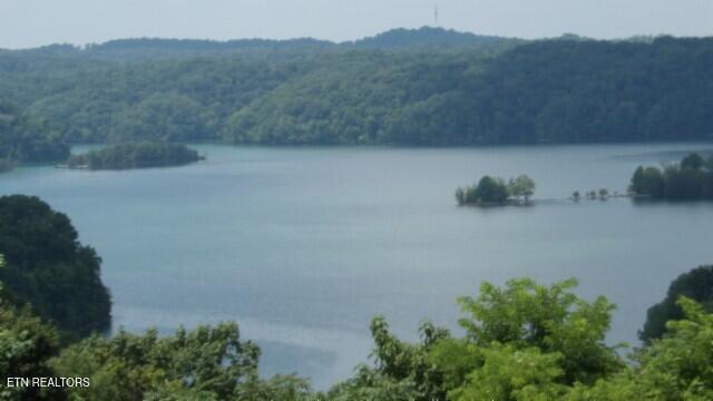 Lot 4 Trout Lane Hilham, TN 38568 - Photo 14 of 37 100_0021