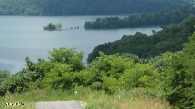 Lot 4 Trout Lane Hilham, TN 38568 - Photo 15 of 37 100_0022