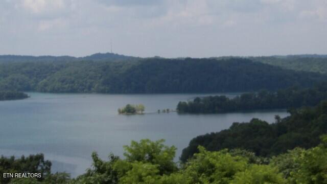 Lot 4 Trout Lane Hilham, TN 38568 - Photo 16 of 37 100_0023