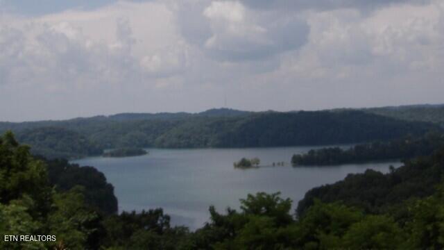 Lot 4 Trout Lane Hilham, TN 38568 - Photo 17 of 37 100_0025