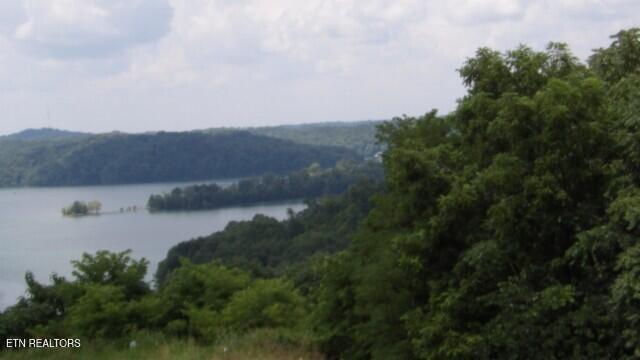 Lot 4 Trout Lane Hilham, TN 38568 - Photo 18 of 37 100_0026