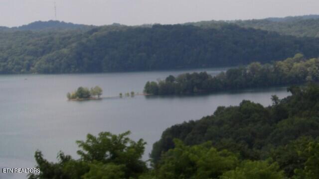 Lot 4 Trout Lane Hilham, TN 38568 - Photo 19 of 37 100_0027