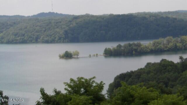 Lot 4 Trout Lane Hilham, TN 38568 - Photo 20 of 37 100_0028