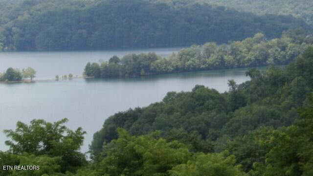 Lot 4 Trout Lane Hilham, TN 38568 - Photo 21 of 37 100_0029