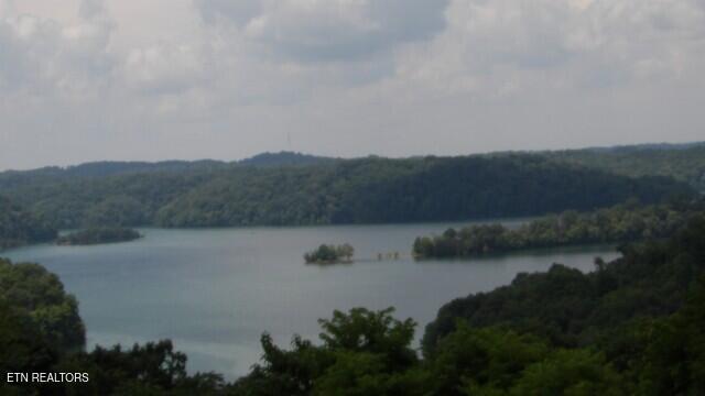 Lot 4 Trout Lane Hilham, TN 38568 - Photo 22 of 37 100_0030