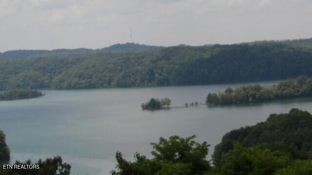 Lot 4 Trout Lane Hilham, TN 38568 - Photo 23 of 37 100_0031