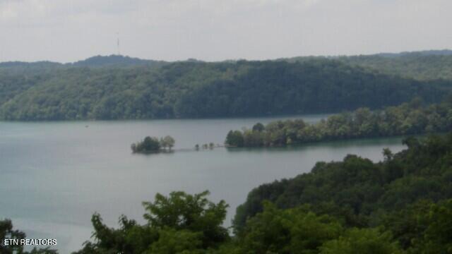 Lot 4 Trout Lane Hilham, TN 38568 - Photo 24 of 37 100_0032