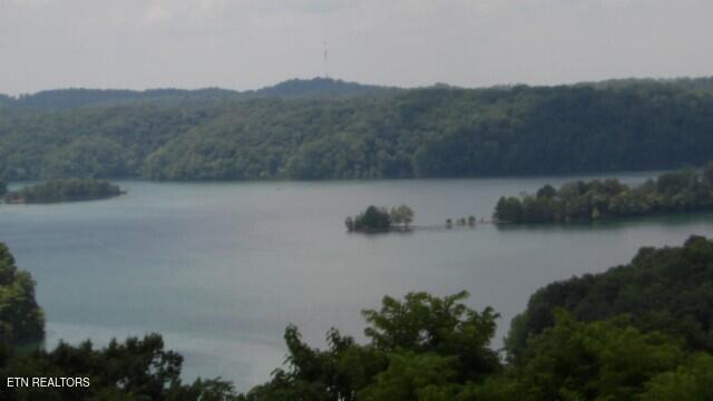 Lot 4 Trout Lane Hilham, TN 38568 - Photo 25 of 37 100_0033