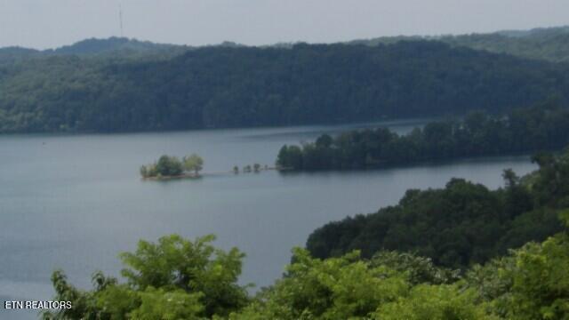 Lot 4 Trout Lane Hilham, TN 38568 - Photo 27 of 37 DHL & MTN VIEWS