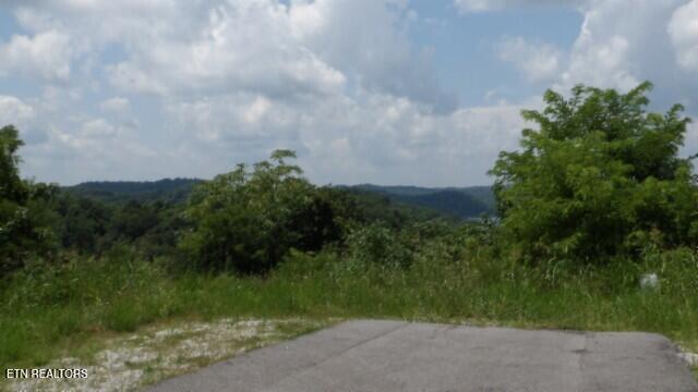 Lot 4 Trout Lane Hilham, TN 38568 - Photo 28 of 37 END OF RD