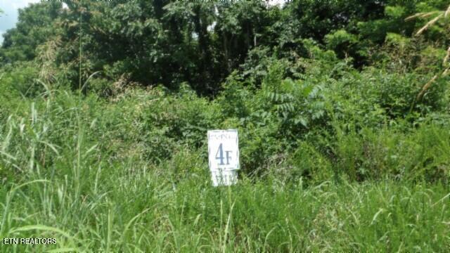 Lot 4 Trout Lane Hilham, TN 38568 - Photo 3 of 37 100_0002