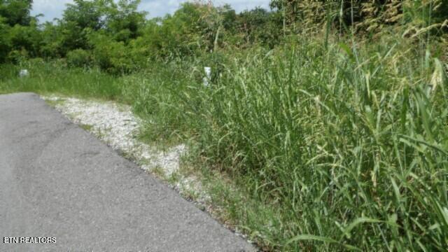 Lot 4 Trout Lane Hilham, TN 38568 - Photo 31 of 37 100_0006