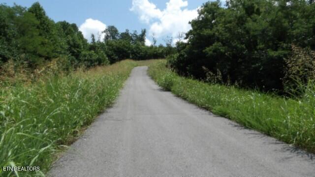 Lot 4 Trout Lane Hilham, TN 38568 - Photo 32 of 37 100_0016