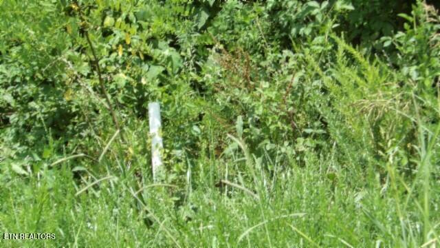 Lot 4 Trout Lane Hilham, TN 38568 - Photo 4 of 37 100_0004