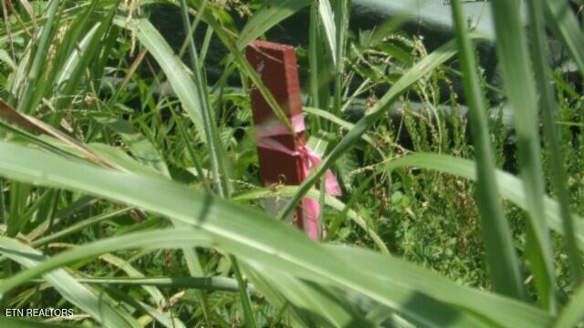 Lot 4 Trout Lane Hilham, TN 38568 - Photo 5 of 37 100_0008