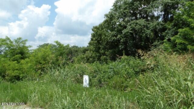 Lot 4 Trout Lane Hilham, TN 38568 - Photo 7 of 37 100_0012