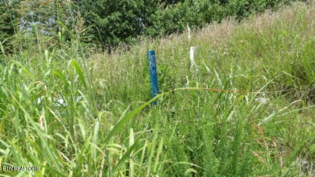 Lot 4 Trout Lane Hilham, TN 38568 - Photo 9 of 37 100_0041