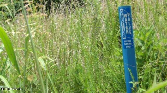 Lot 4 Trout Lane Hilham, TN 38568 - Photo 10 of 37 PUBLIC WATER