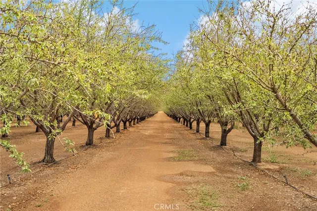 a view of open space with trees