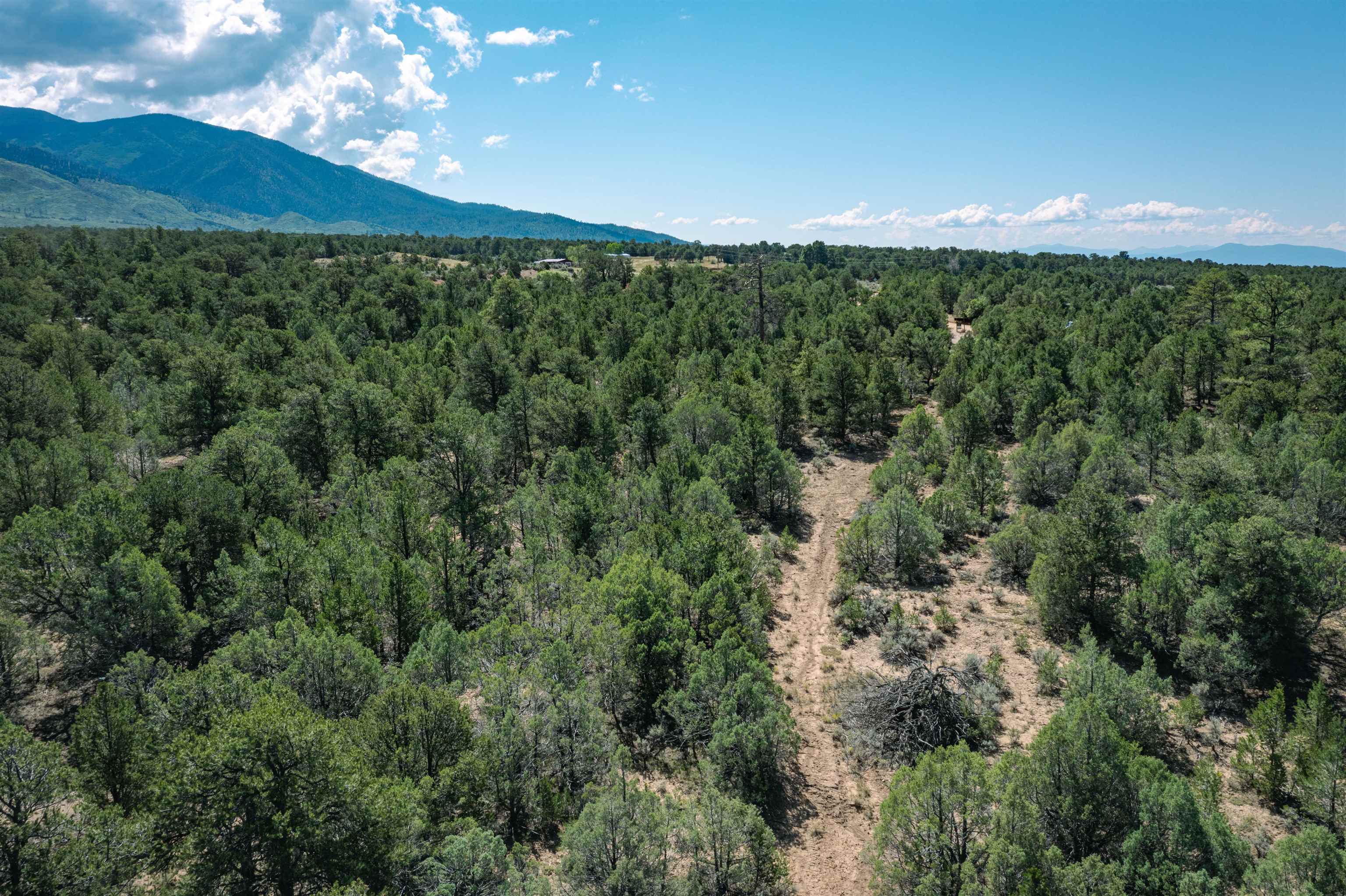 0 Forest Rd 9 Ramah, NM 87556 - Photo 11 of 22 Gallery Image 11