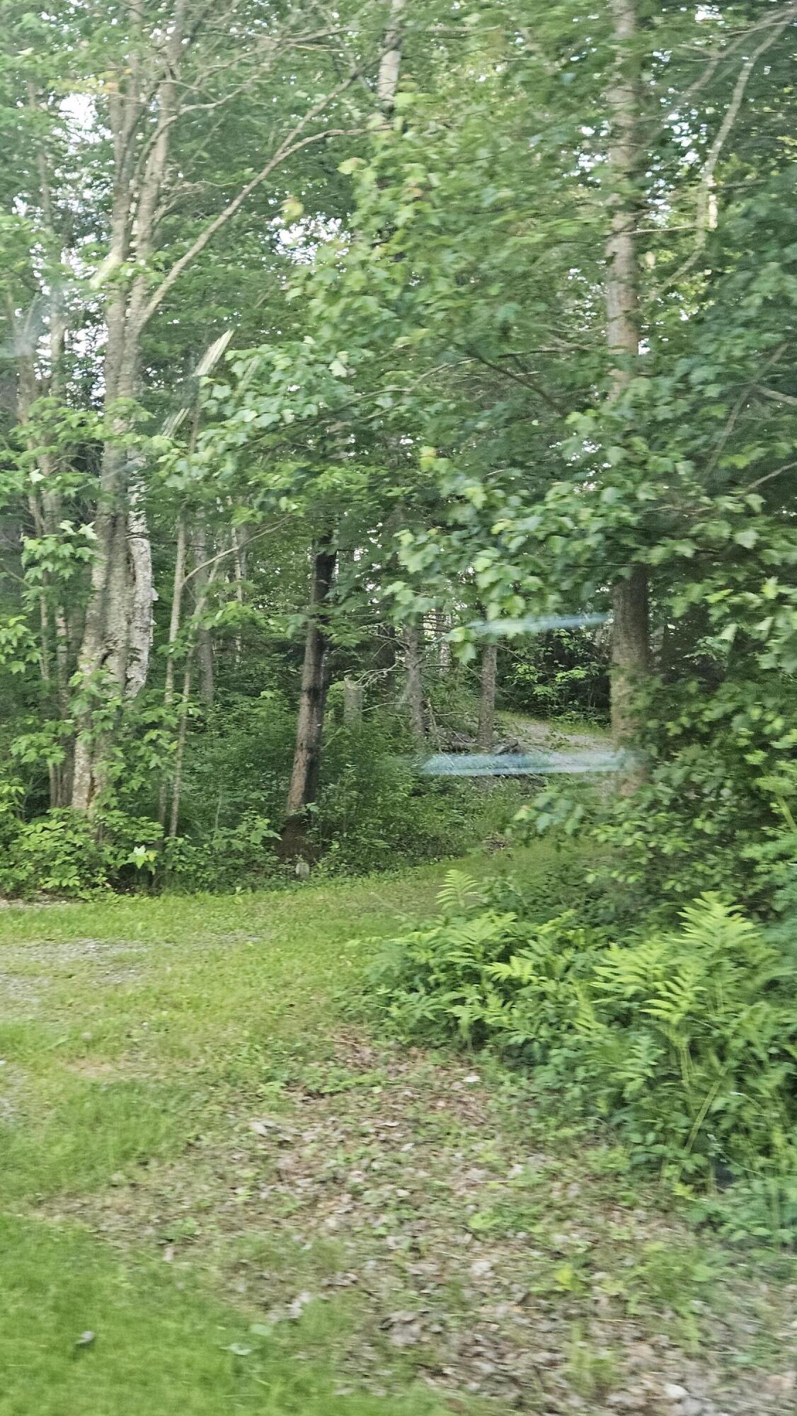 67 Upper Narrows Road Jackman, ME 04945 - Photo 150 of 193 20250621_195823