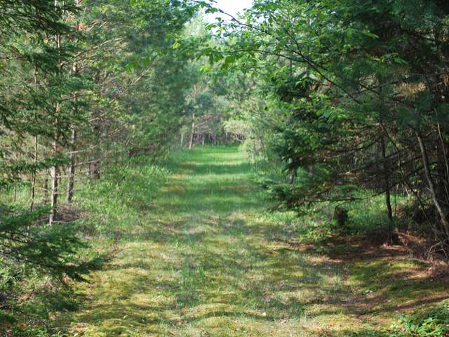 10944 Chaney Road Crandon, WI 54520 - Photo 17 of 20 Gallery Image 17