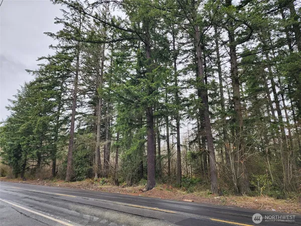 a view of a trees in front of a house