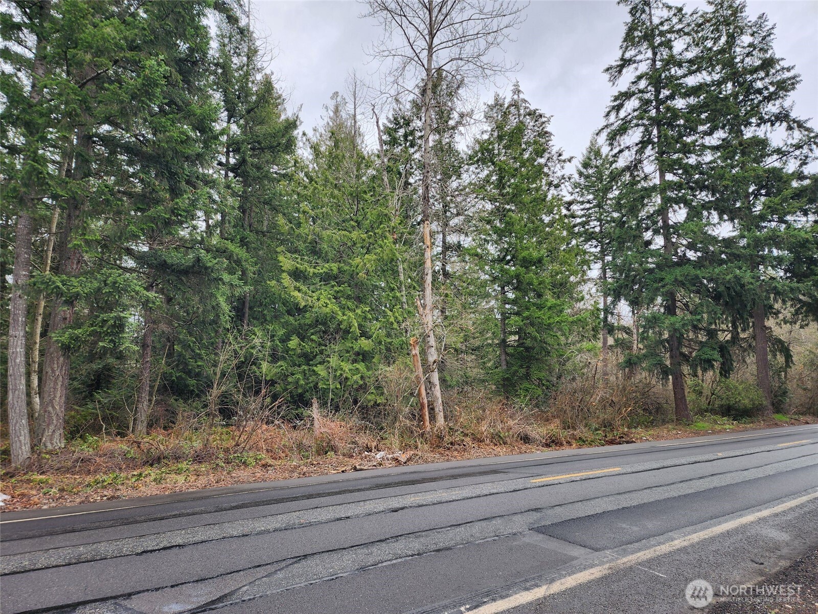 0 126th Avenue East Graham, WA 98338 - Photo 2 of 7 a view of a yard with a tree