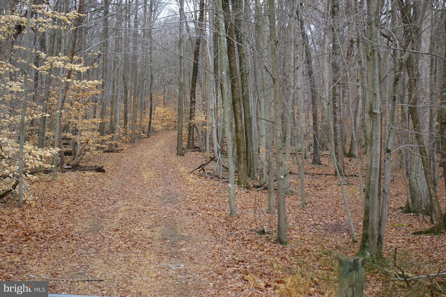 White Drive is at north boundary line of property