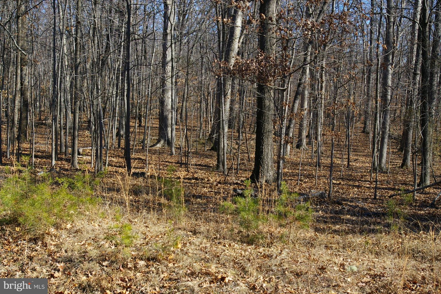 Looking East from Doyle Road
