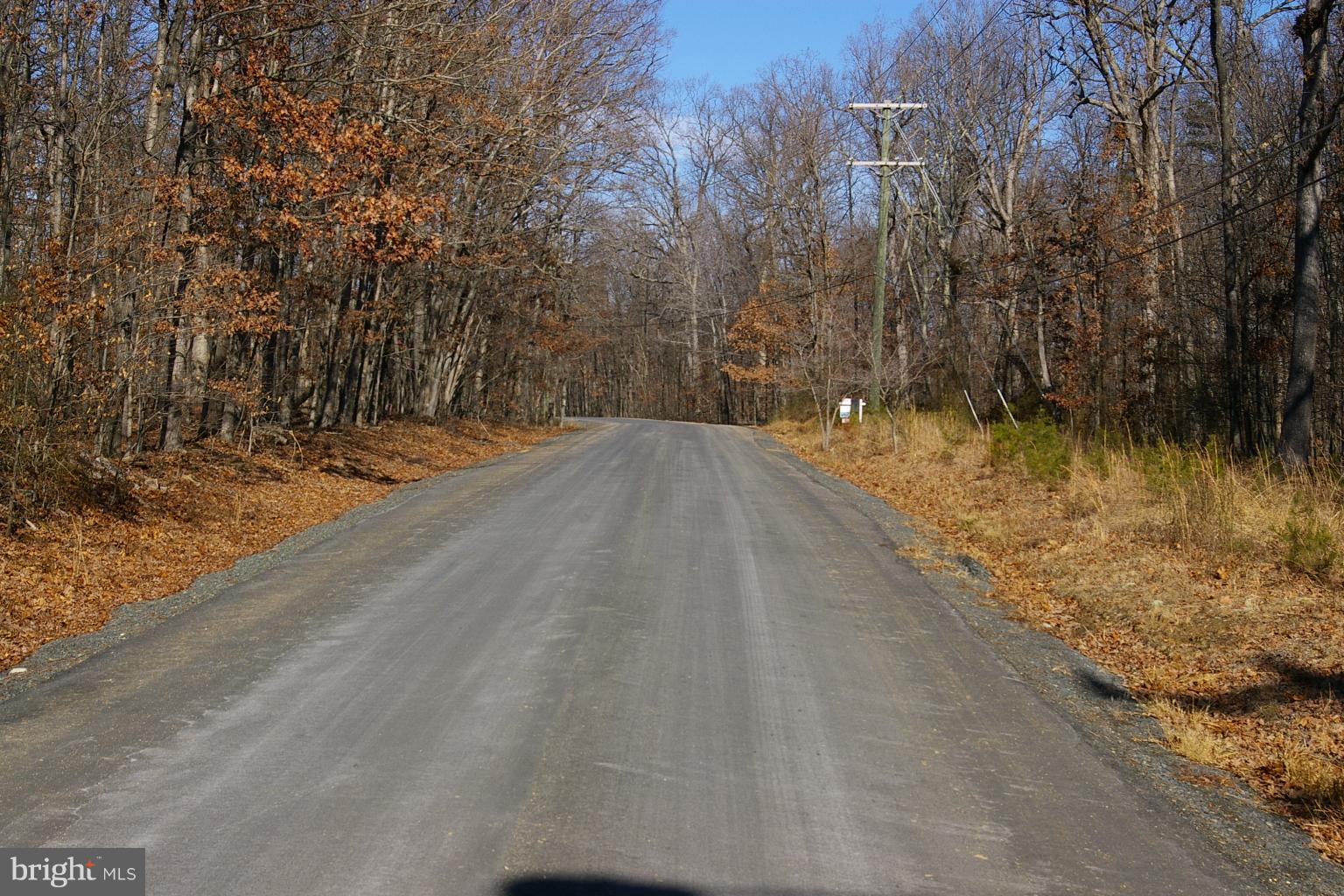 5917 Doyle Road Clifton, VA 20124 - Photo 9 of 9 Looking North on Doyle Road