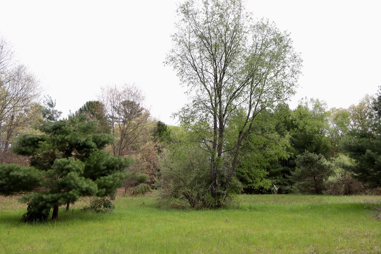 6153 South Branch Road Branch, MI 49402 - Photo 64 of 70 57