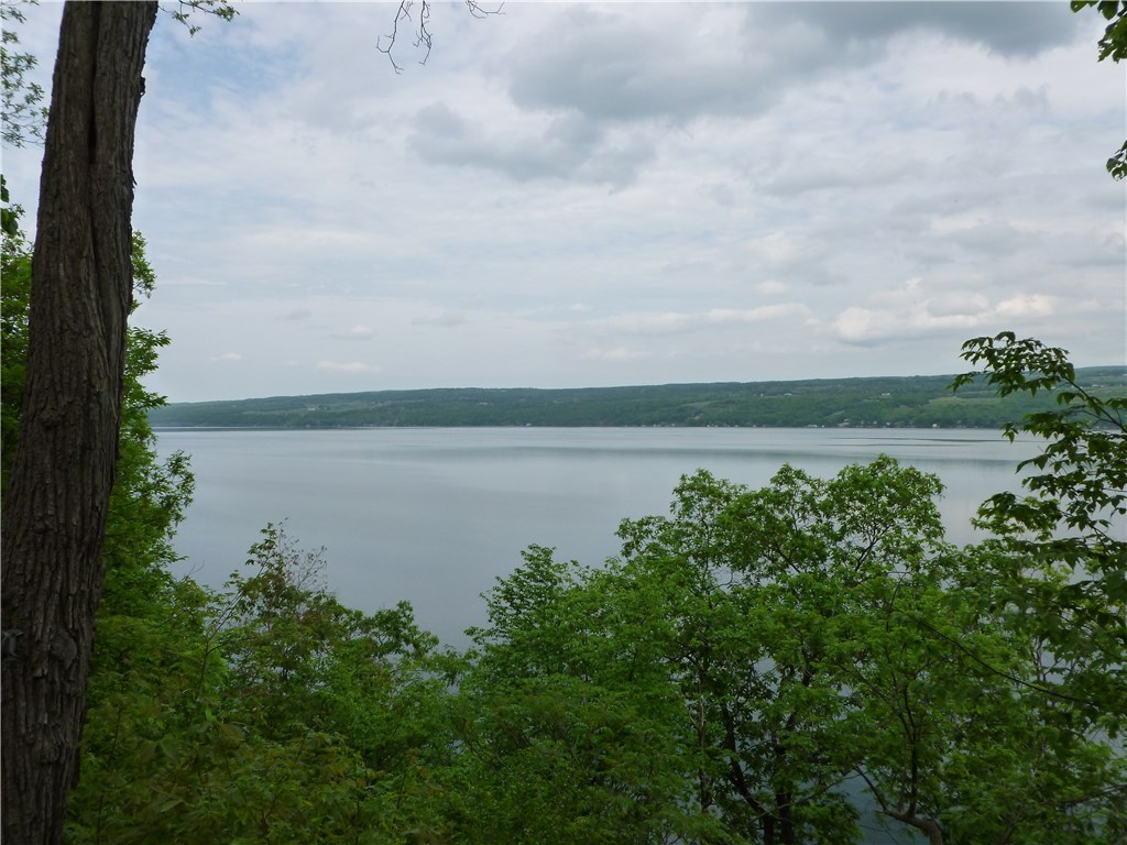 5334 Black Walnut Road Starkey, NY 14837 - Photo 1 of 1 Gallery Image 1